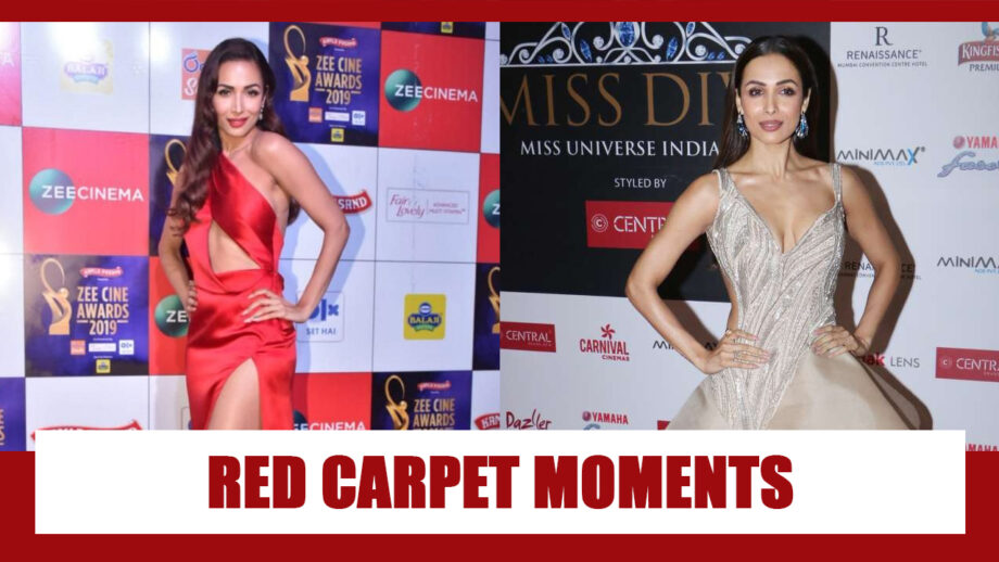 Malaika Arora’s Hottest Red Carpet Moments Ever 4