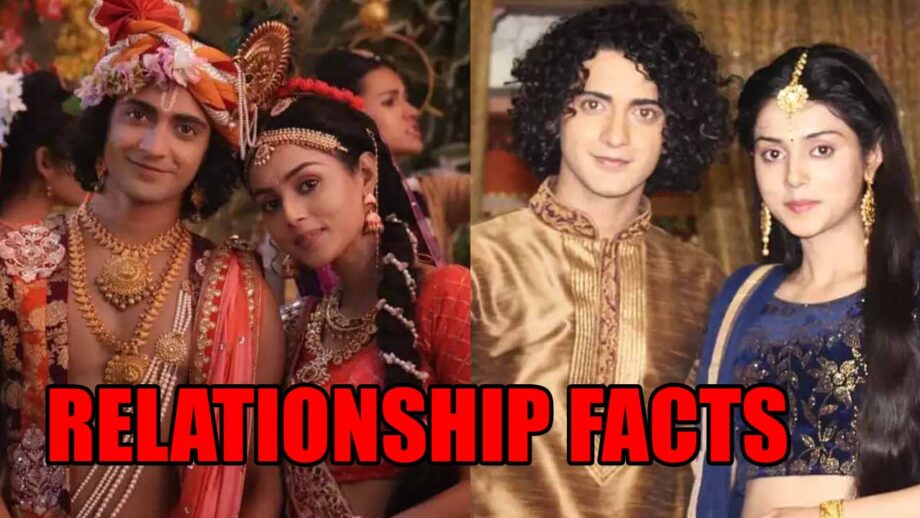 Mallika Singh-Sumedh Mudgalkar unknown relationship facts