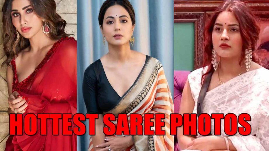 Mouni Roy, Hina Khan And Shehnaaz Gill Hottest Saree Photos That Went Viral On Internet