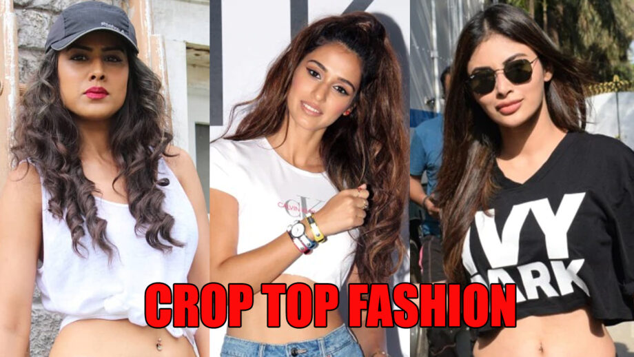 Nia Sharma Or Disha Patani Or Mouni Roy: Who Wears Crop Top The Best? 7