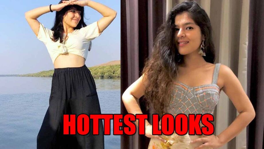 Nidhi Bhanushali's Hottest Looks In Crop Tops