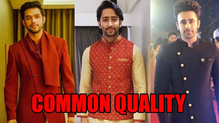 Parth Samthaan, Shaheer Sheikh And Pearl V Puri Have THIS Quality In Common