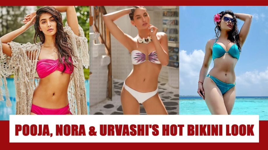 Pooja Hegde, Nora Fatehi, Urvashi Rautela: HOTTEST Bikini Moments
