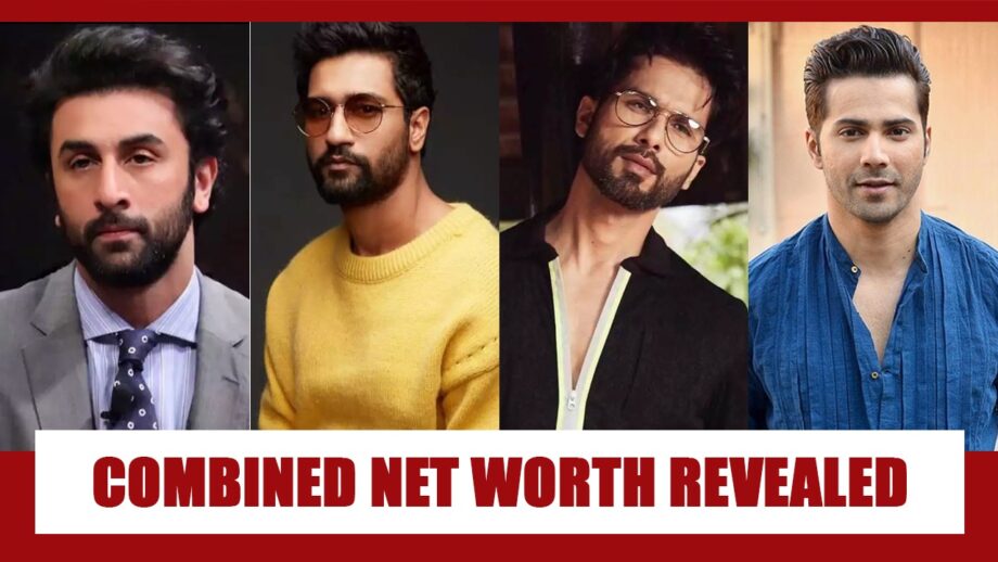 Ranbir Kapoor, Vicky Kaushal, Shahid Kapoor, Varun Dhawan: Combined net worth