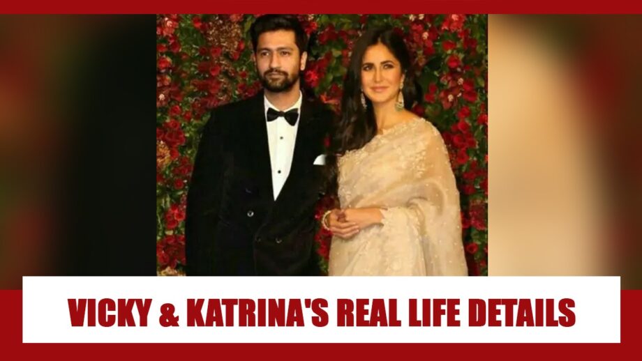 REVEALED! The REAL LIFE RELATIONSHIP Details Of Vicky Kaushal And Katrina Kaif