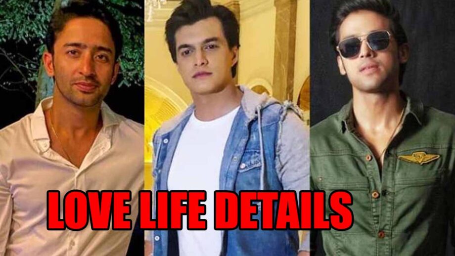 Shaheer Sheikh, Mohsin Khan, Parth Samthaan love life details revealed