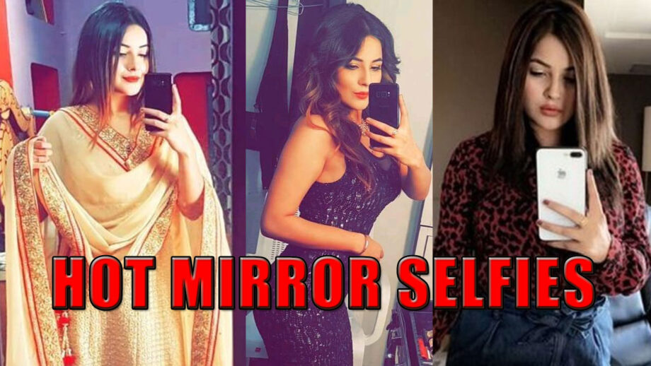 Shehnaaz Gill's Mirror Selfies Is An Inspiration For Ultimate Go-To Instagram Pics 7
