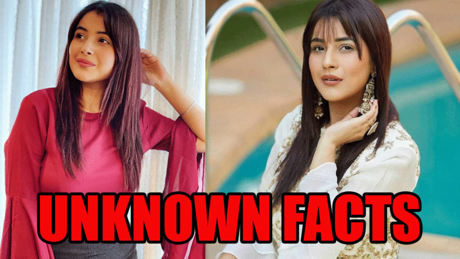 Shehnaaz Kaur Gill: 10 Unknown Facts!