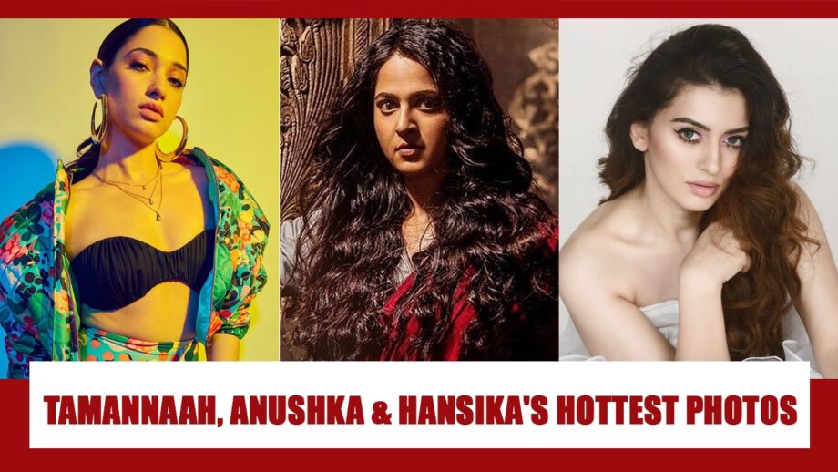 Tamannaah Bhatia, Anushka Shetty & Hansika Motwani's hottest photos that went viral