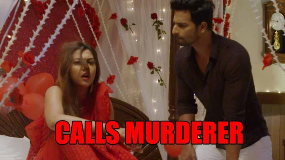 Tujhse Hai Raabta spoiler alert: Malhar calls Kalyani ‘murderer’
