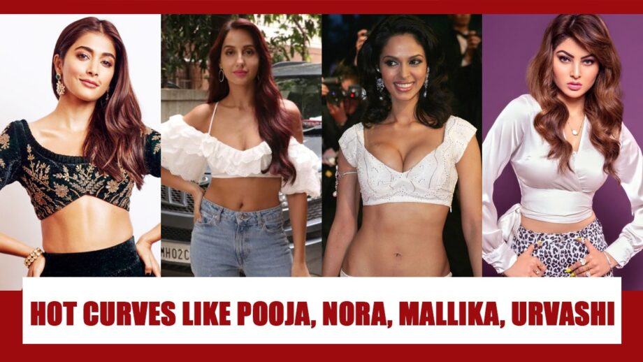 Want Hot Body Curves Like Pooja Hegde, Nora Fatehi, Mallika Sherawat And Urvashi Rautela? These Photos Will INSPIRE YOU
