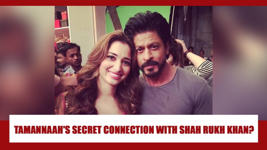 What Is Tamannaah Bhatia's SECRET CONNECTION With Shah Rukh Khan? You Will Be SHOCKED