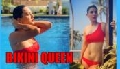 Why is Nia Sharma the 'Bikini Queen of Television'?
