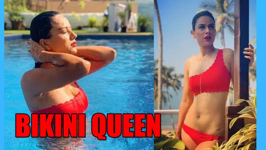 Why is Nia Sharma the 'Bikini Queen of Television'?