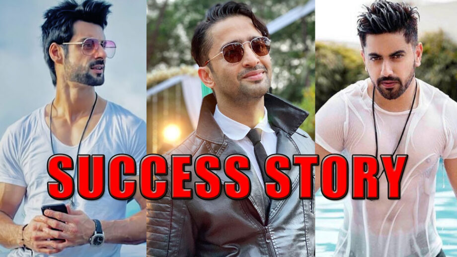 Zain Imam, Shaheer Sheikh And Karan Wahi: TV Actors And Their Success Stories