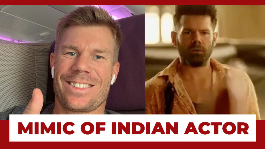 David Warner A Better Cricketer Or Actor? Watch His Latest Video As He Mimics One More Indian Actor