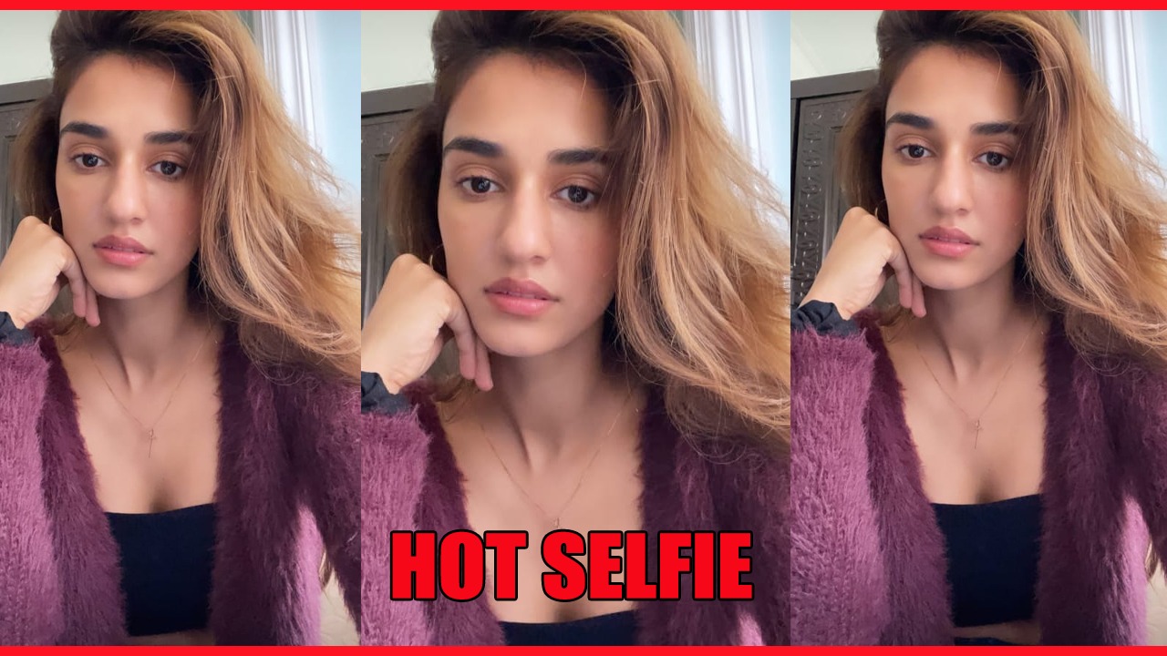 Disha Patani's latest private hot selfie in purple is the attractive thing on internet today 791695