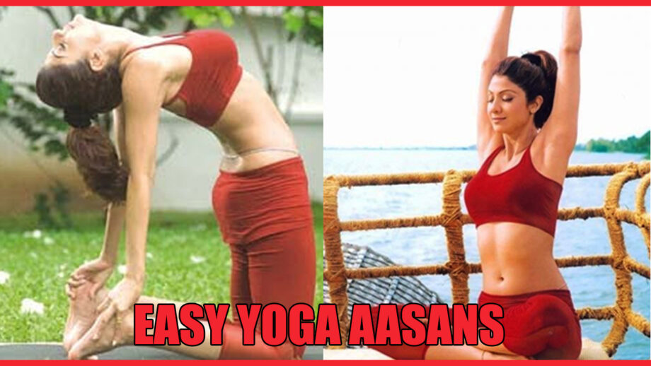 Easiest Yoga Aasans That You Could Perform Without Difficulties