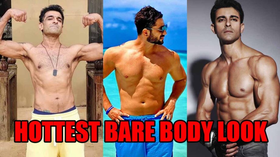 Eijaz Khan, Aly Goni, Gautam Rode: Which Star Has The Hottest Bare Body Look?
