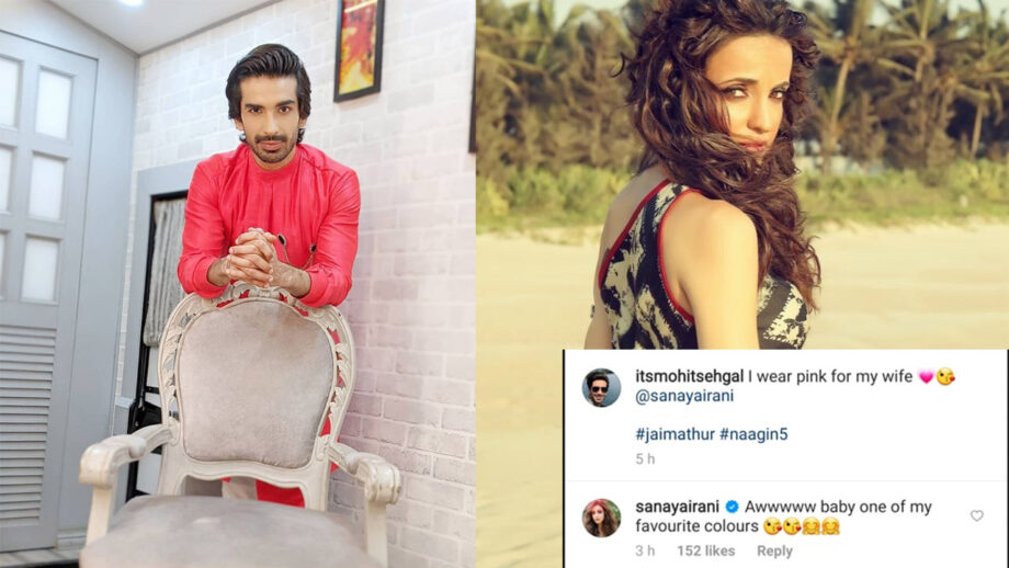 I wear pink for my wife, Mohit Sehgal shares cute post, Sanaya Irani comments