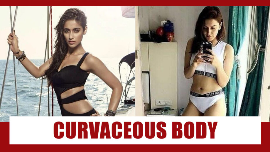 Ileana D’Cruz Or Hansika Motwani: The Most Curvaceous Body? 2