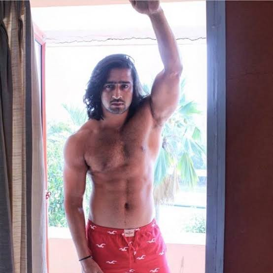 In Pics: Shaheer Shaikh's Hottest Bare Body Looks That Always Raise The Temperature 1