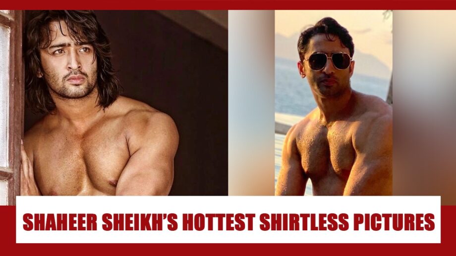 In Pics: Shaheer Shaikh's Hottest Bare Body Looks That Always Raise The Temperature 2