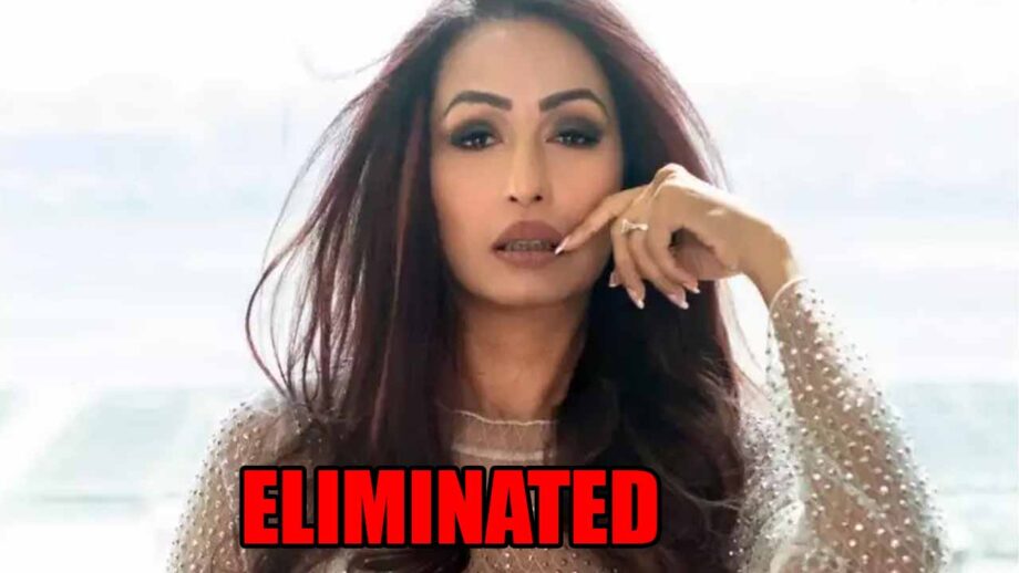 Kashmera Shah eliminated from Bigg Boss 14