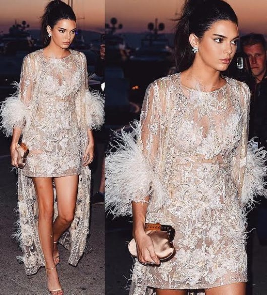 Kendall Jenner In White Or Angelina Jolie In Black: Whose Feather Dress Do You Wanna Steal? 819758