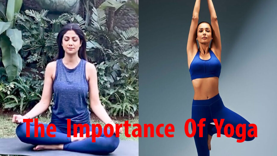 Know The Importance Of Yoga & Why You Should Practice It Every Day