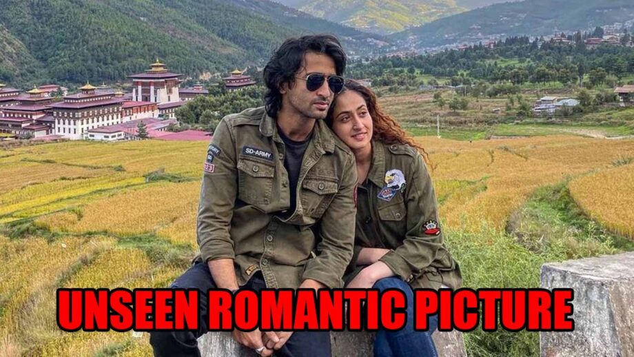 Love in the air: Shaheer Sheikh's unseen romantic picture with wife Ruchikaa Kapoor goes viral