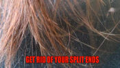Love Your Hair But Fed Up with Split Ends? Here Is A Way to Treat Split Ends Without Cutting Your Hair 1