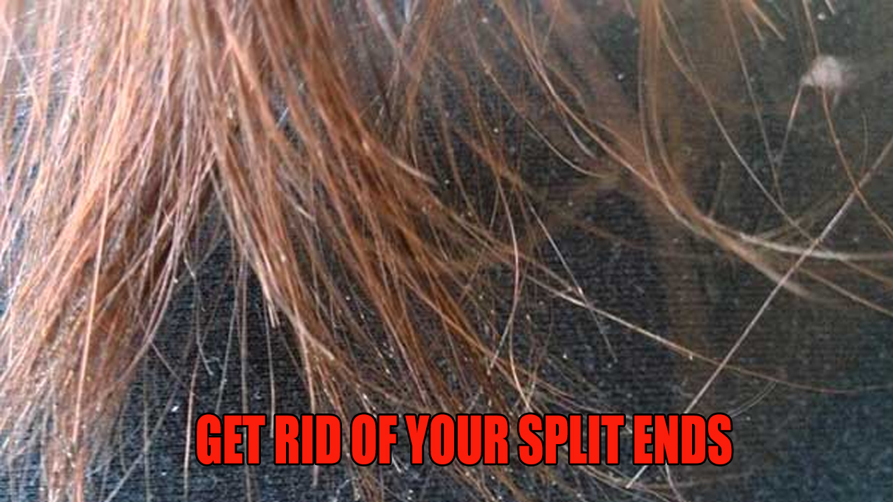 Love Your Hair But Fed Up with Split Ends? Here Is A Way to Treat Split  Ends Without Cutting Your Hair | IWMBuzz