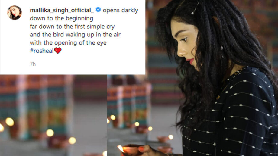 Mallika Singh of RadhaKrishn fame looks divine in black as she shares latest post, fans love it