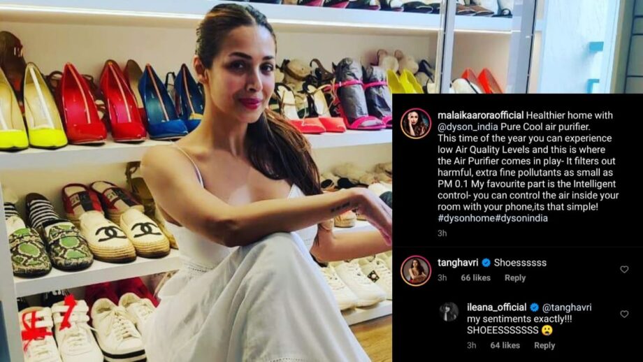Oh So Amazing: Ileana D'Cruz is in love with Malaika Arora’s 'shoes' collection