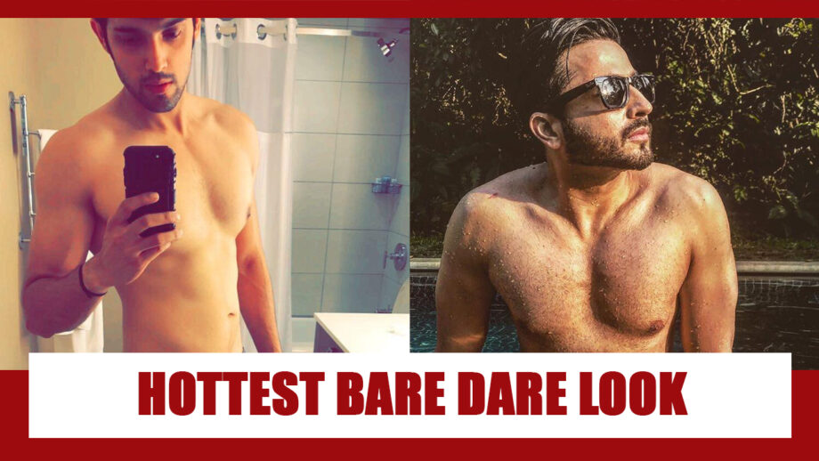 Parth Samthaan Or Dheeraj Dhoopar: Who Has The Hottest Bare Body Look?