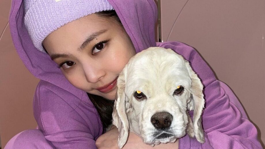 Pet Love: Blackpink's Jennie shares adorable photo with her pet dog, fans go all 'aww' 1