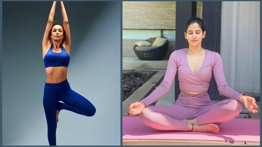 Sakshi Malik Or Malaika Arora: Whom Would You Choose As Your Fitness Idol?