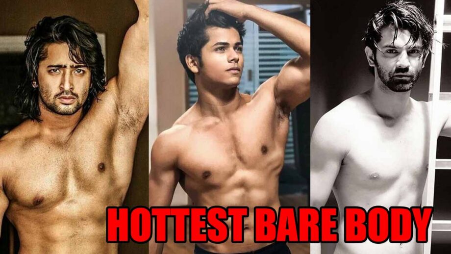 Shaheer Shaikh, Siddharth Nigam, Barun Sobti: Which TV Star Has The Hottest Bare Body Look?