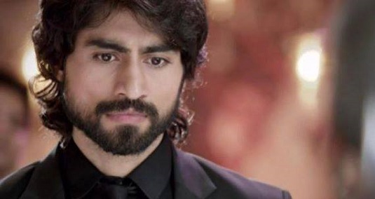Shaheer Sheikh, Barun Sobti, Harshad Chopda: Hottest Looks In Beard 2
