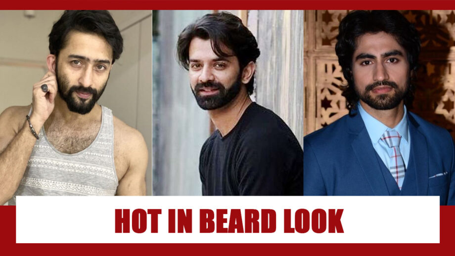 Shaheer Sheikh, Barun Sobti, Harshad Chopda: Hottest Looks In Beard
