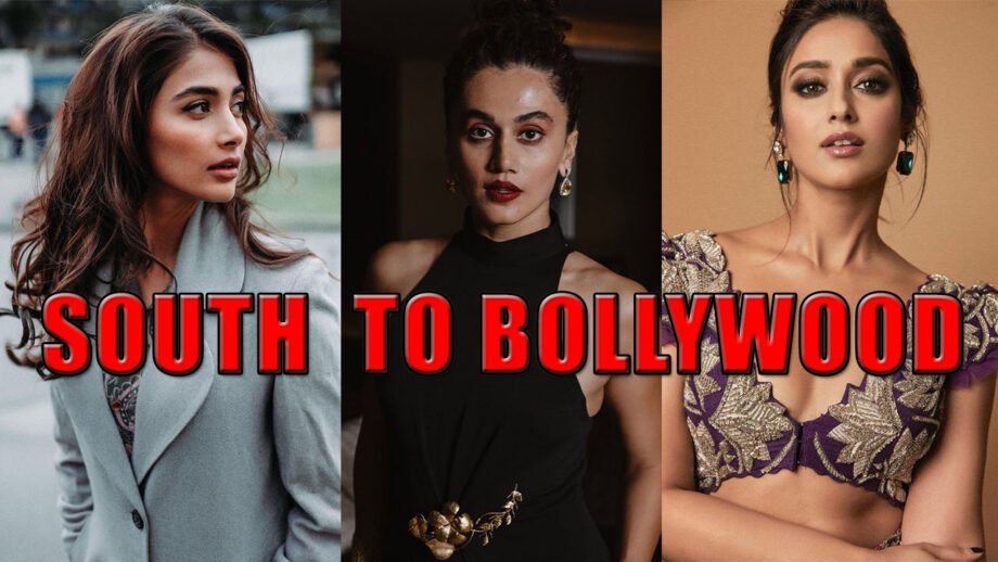 Taapsee Pannu, Ileana D’cruz To Pooja Hegde: Have A Look At The Glamorous Divas Who Rocked B-Town After Coming From South Industry