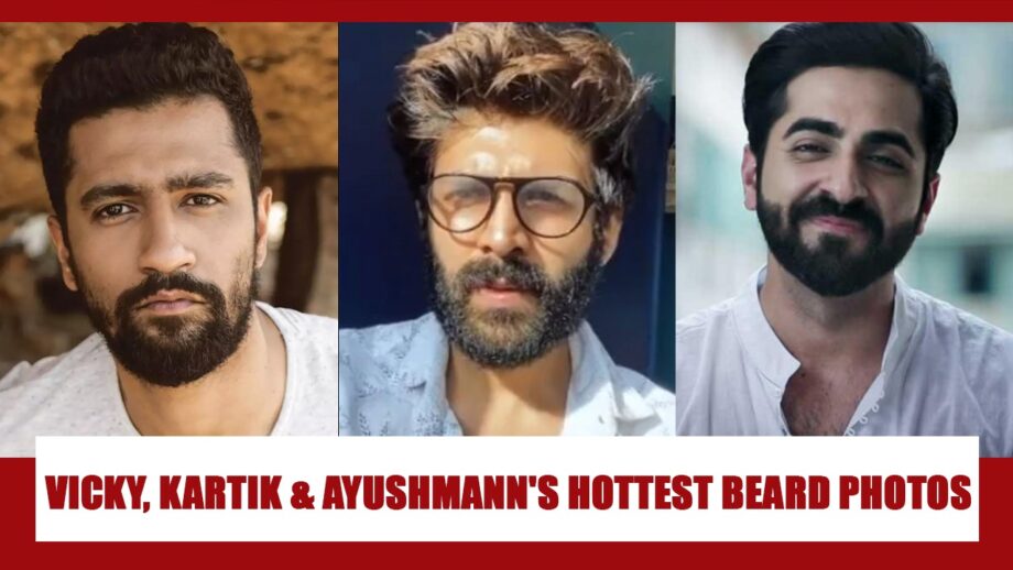 Vicky Kaushal, Kartik Aaryan And Ayushmann Khurrana's Hottest Beard Looks For Some Grooming Tips