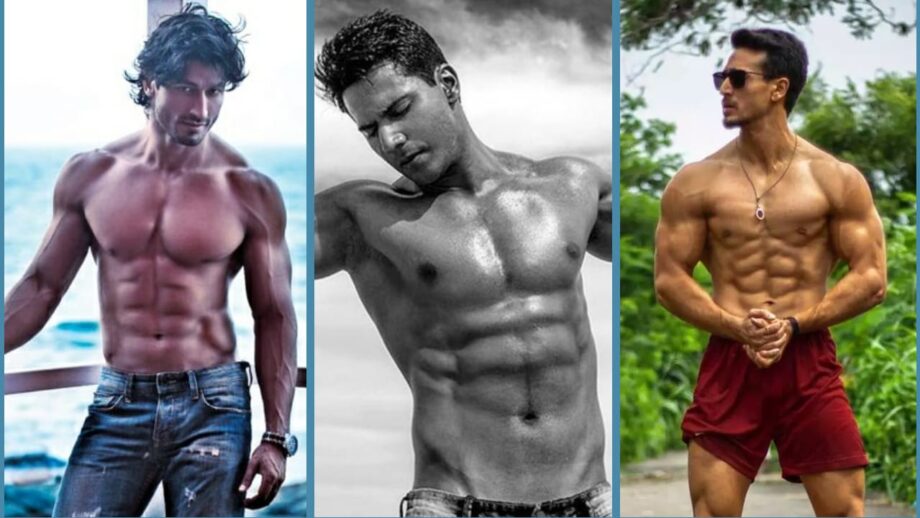 Vidyut Jamwal VS Varun Dhawan VS Tiger Shroff: Who Raises The Temperature In Bare Body Looks?