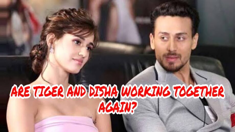 WOW: Are Tiger Shroff and Disha Patani coming together in a film again? Know The Actual Story