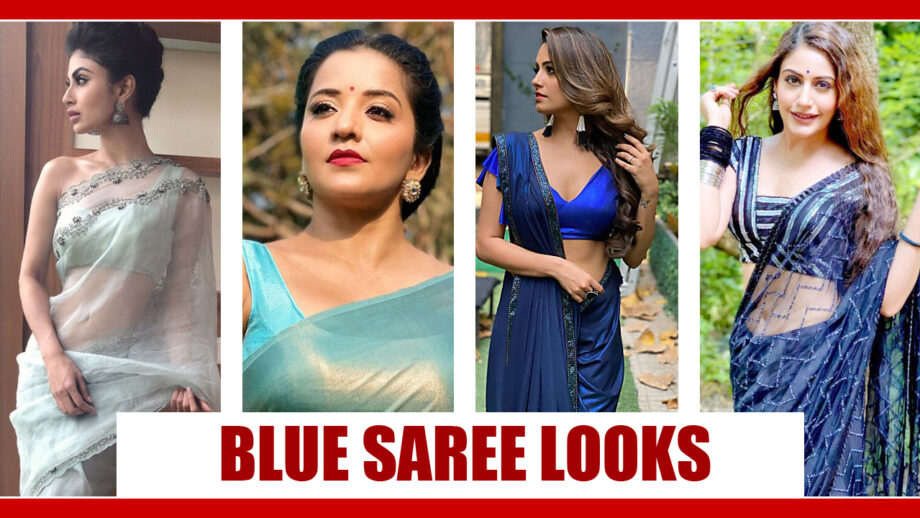 Anita Hassanandani, Monalisa, Mouni Roy, Surbhi Chandna: Top Hottest TV Actresses Who Rocked The Blue Saree To Perfection