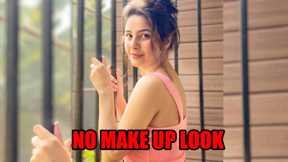 Bigg Boss fame Shehnaaz Gill shares no make-up look, netizens go crazy