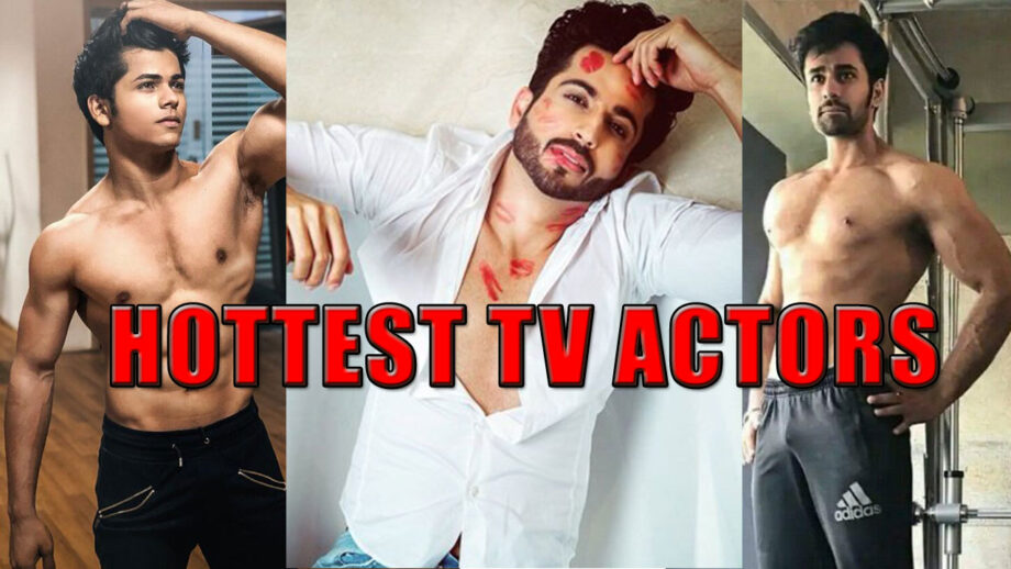 Dheeraj Dhoopar, Pearl V Puri, Siddharth Nigam: Top 3 Hottest TV Stars Of 2020