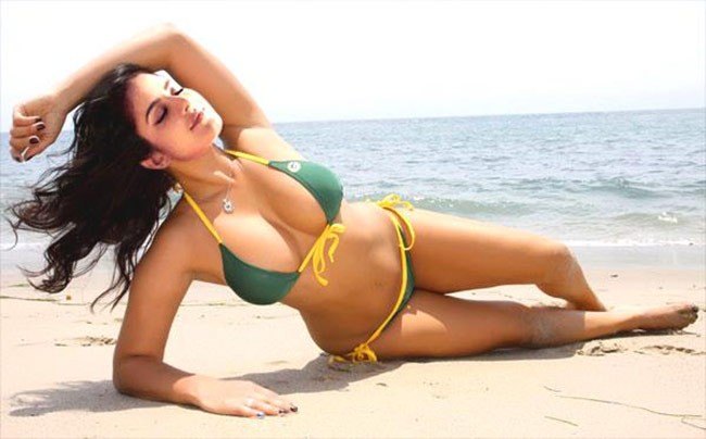 Disha Patani, Katrina Kaif Or Urvashi Rautela: Who Is The Hottest Bikini Qu...