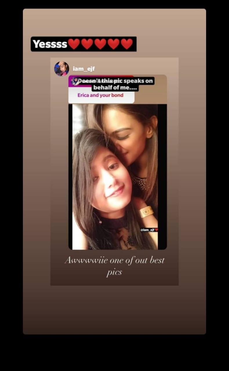 Erica Fernandes shares cosy adorable picture with someone special, netizens melt 08.30 4